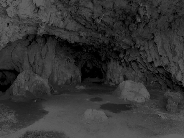 finalist_amanda_williams-624x468