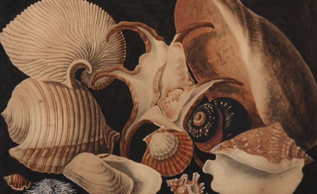 278484.SarahStone_W650