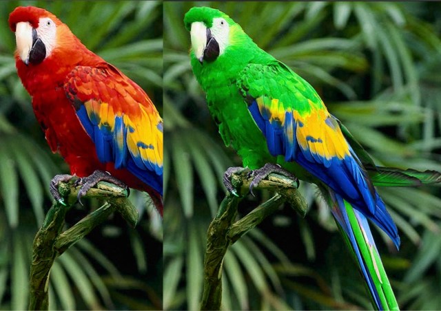 colourCorrect_compile_002